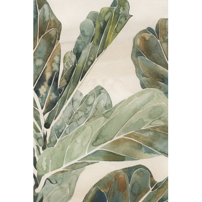 Alsea " Fiddle Leaf Fig II " by Grace Popp