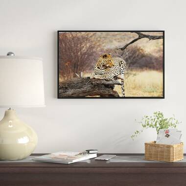 Close Up of Angry Leopard Photo Leopard Pictures Wall Decor Jungle