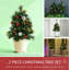 Ensemble de 2 arbres de Noël d'extérieur sans cordon avec lumière