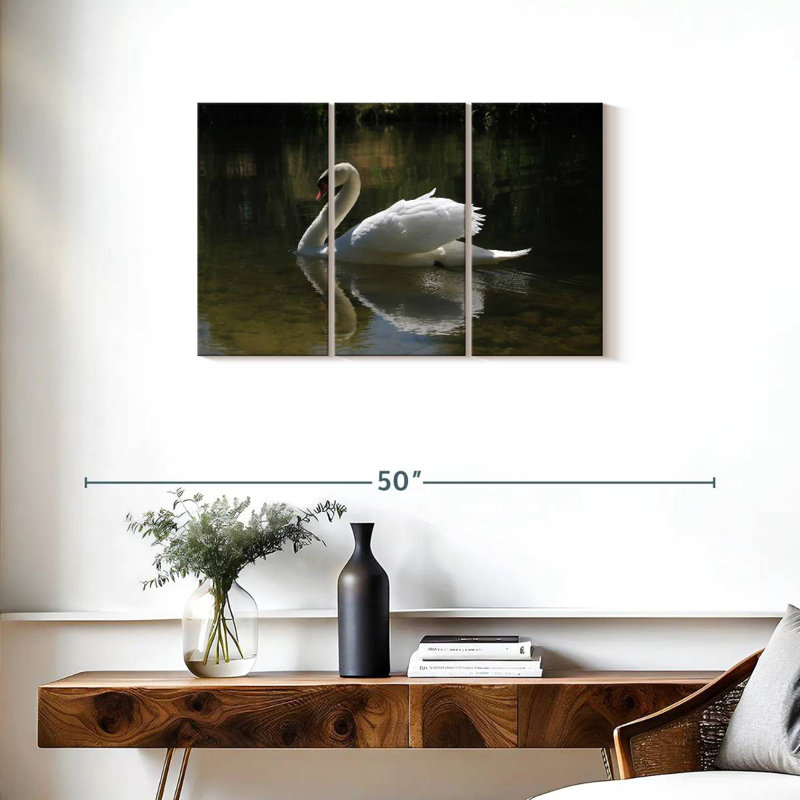 Swan Lake Reflection, 20" H x 33" W