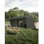 Tente de pavillon escamotable avec tissu 210 D Oxford, pavillon commercial portatif instantané-100677872