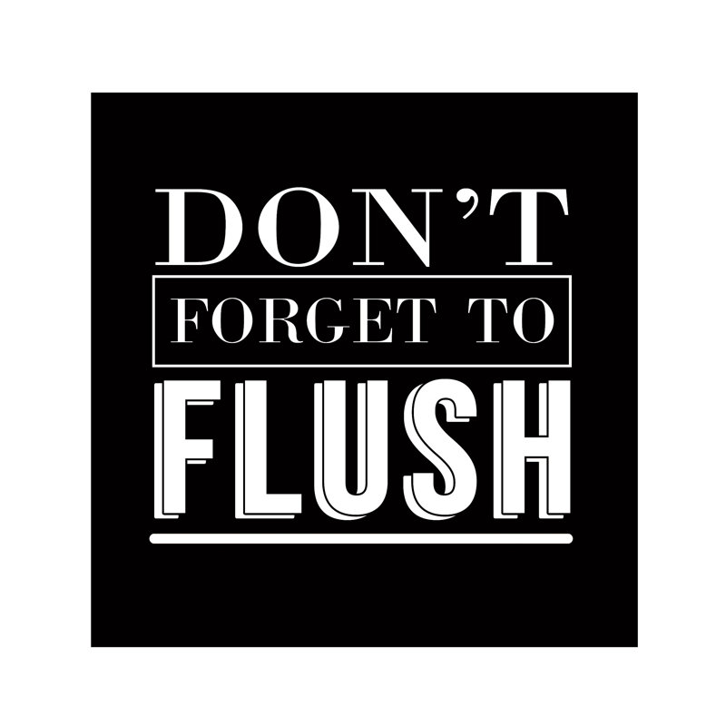 Forget To Flush No Script 2 - Wrapped Canvas Print, 30cm H x 30cm W x 3.8cm D