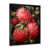 Black Single Picture Framed
