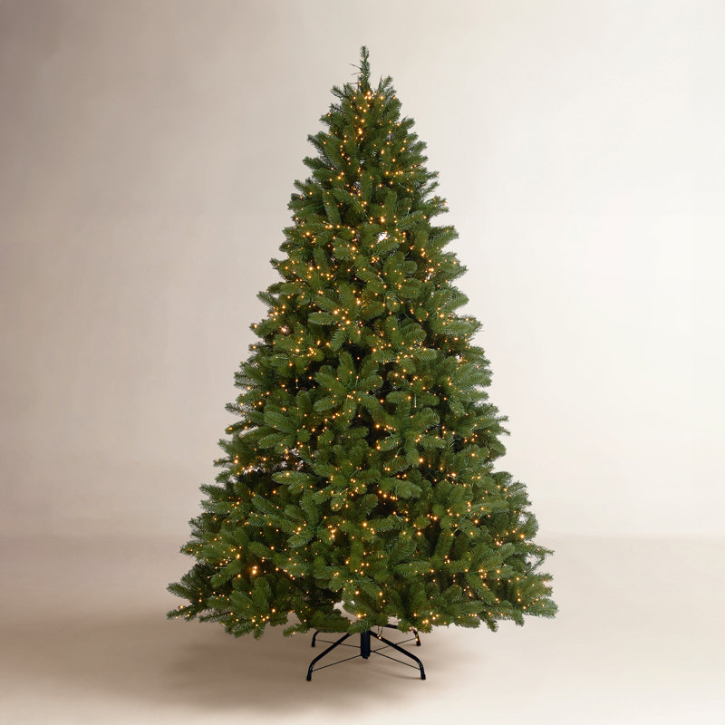 Sapin de Douglas de 7,5 pi Downswept Sapin de Douglas avec lumières cosmiques bicolores à DEL Downswept