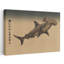 Magnifique requin-marteau, rétro, requin-poisson rétro, art mural-129771597