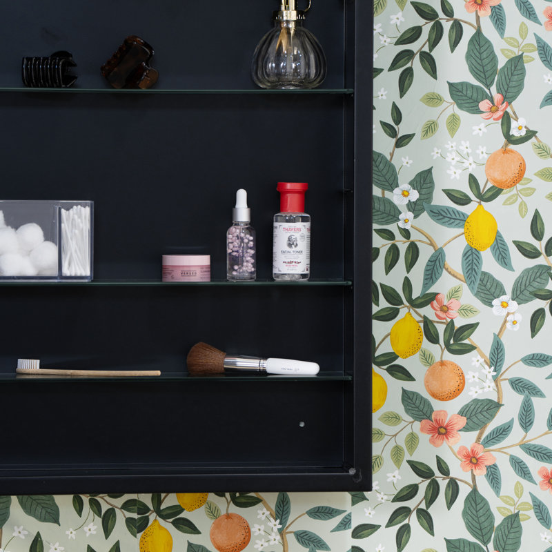 Simone Medicine Cabinet, Recess and Surface Mount,  Black