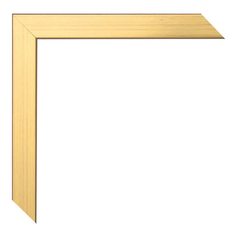 Laklyn Wood Picture Frame with Mat, Gold, 95"H x 18"W