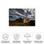 Canvas Wall Decor-277343536
