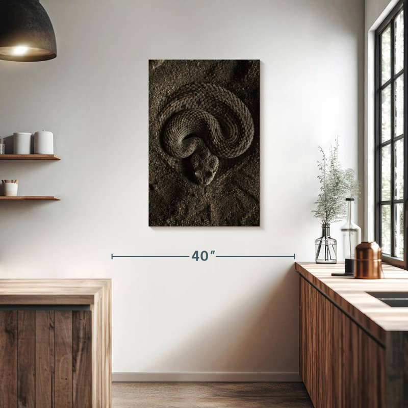 Brampt Coiled Horned Rattlesnake, 36" H x 24" W