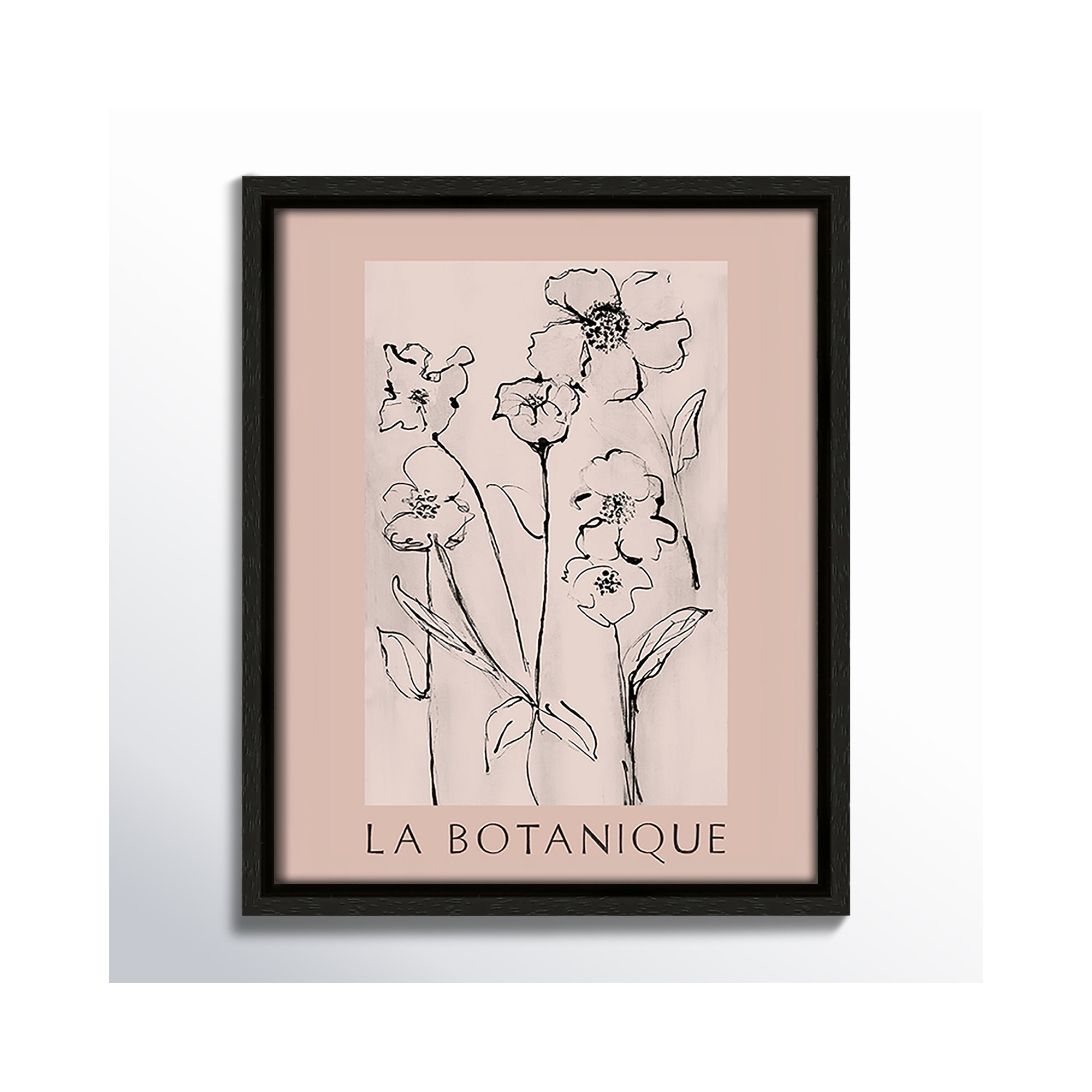 Botanical Poster Collection " La Botanique " by Susan Jill, 11.5" H x 9.5" W x 2" D, Espresso Floater Frame, No