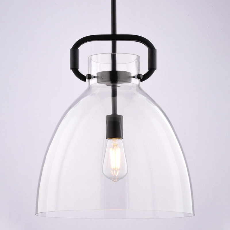 Aleyla 1 Light Contemporary Pendant Light Clear Glass, Black
