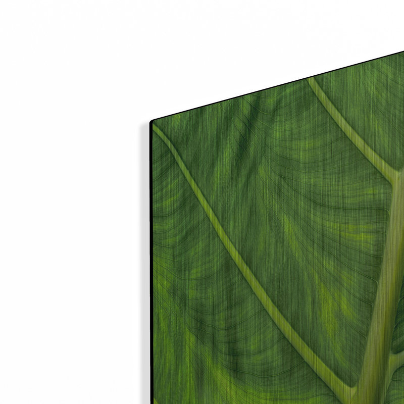 "Leaf Leaf" par Dennis Frates, H 12 po x l 16 po