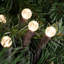 LED G12 Berry Christmas Lights - 16' Brown Wire - 50 Ct-1396963508