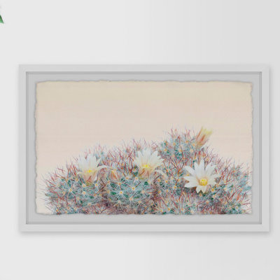 Flowering Succulent - Single Picture Frame Print