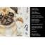 Serviette de cuisine Fawn Pug Coffee Bar-1234934446