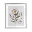 Fleurs pressées sous pression, reproduction encadrée sous verre, design avec lettres et doublure-2000265715-2000265727