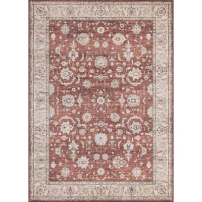 Contemporary Design Multi Accent Rug
