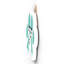 Gruia Wall Decor