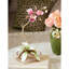 Marietta Orchid Objet