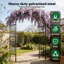 243cm H x 150cm W Metal Arched