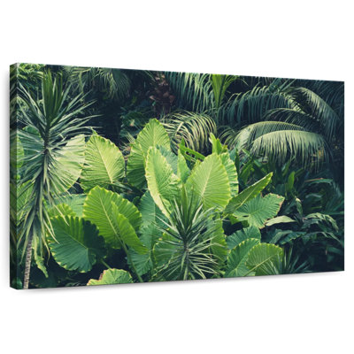 Harnek - jungle tropicale