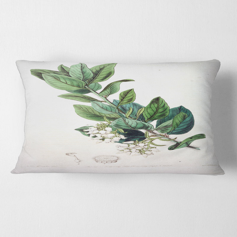 Vintage Botanicals XX - coussin traditionnel imprimé
