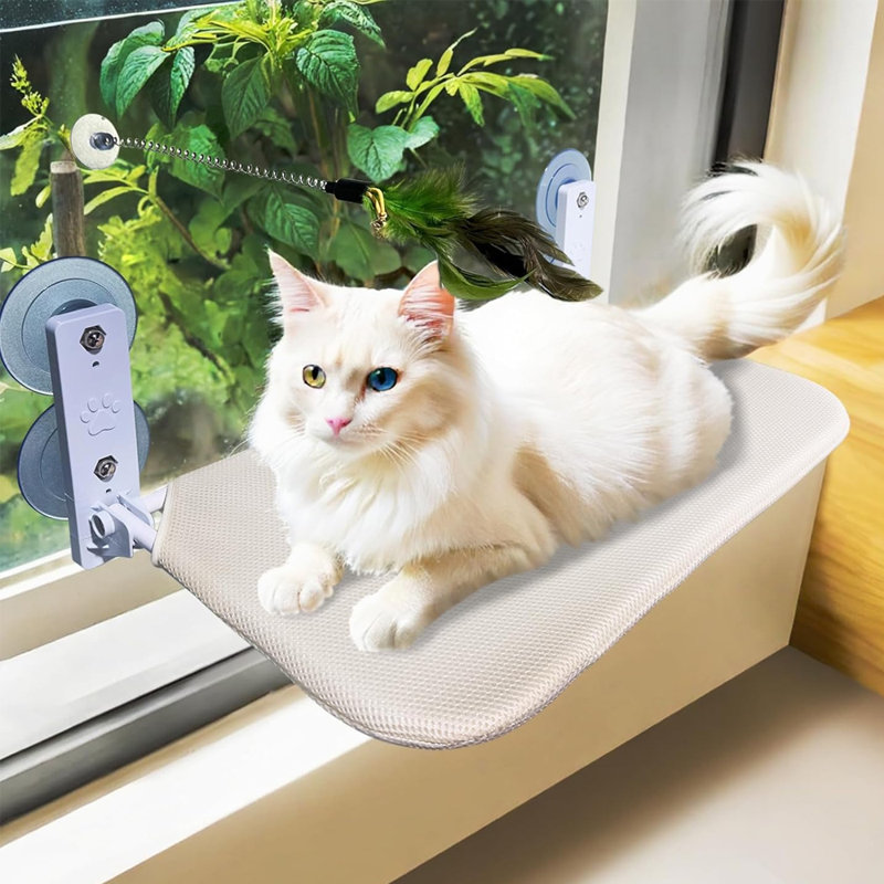 Hamac pour chat pliable sans cordon 4 ventouses, Grande taille: L 20,47 po x l 11,8 po