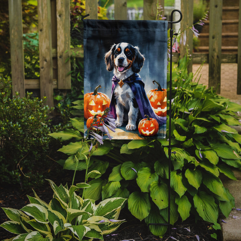 Drapeau de jardin chiot Halloween, Épagneul Welsh Springer