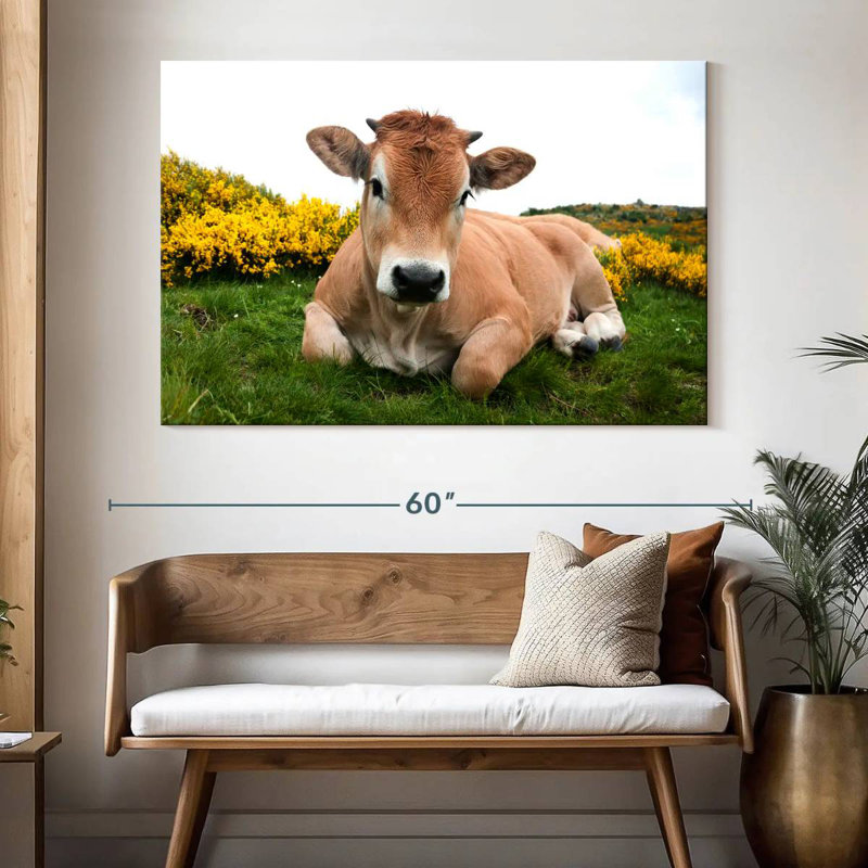 Adorable vache Aubrac, H 34 po x l 51 po