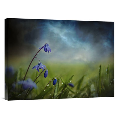 " After The Spring Rain "