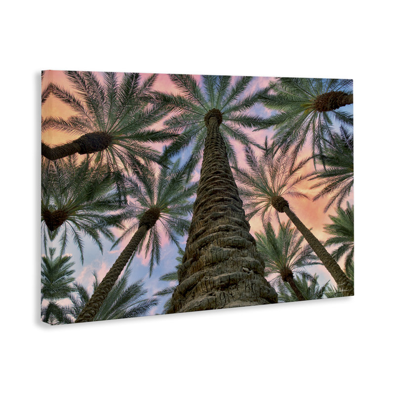 «Tall Overhead Palms», art mural sur toile par Dennis Frates, H 30 po x l 45 po