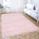 Abilene Shaggy Pink Rug