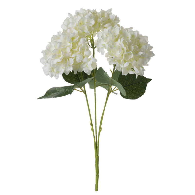 Tige d'hortensia Oakdale, Crème