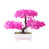 Rose est en rupture de stock