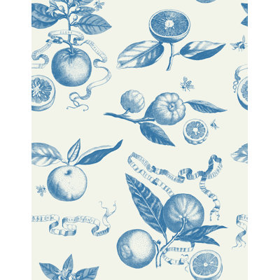 Citrus Toile 33' L x 20.5" W  Wallpaper Roll