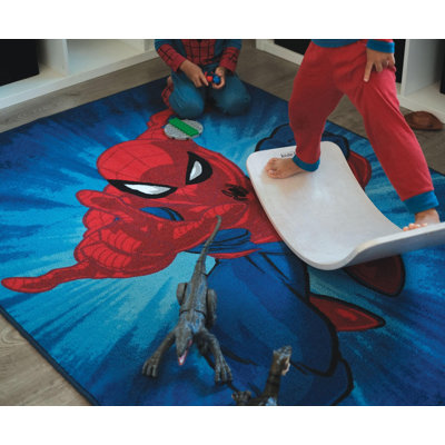 Indoor Rug