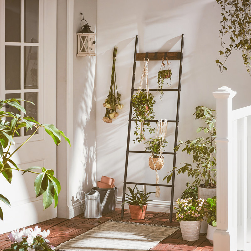 5 ft Blanket Ladder