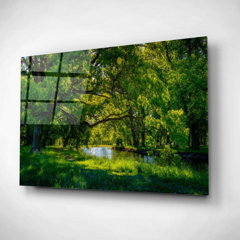 «Latitude Morning» Summer Morning In The Park »par Nicklas Gustafsson, art mural en verre acrylique