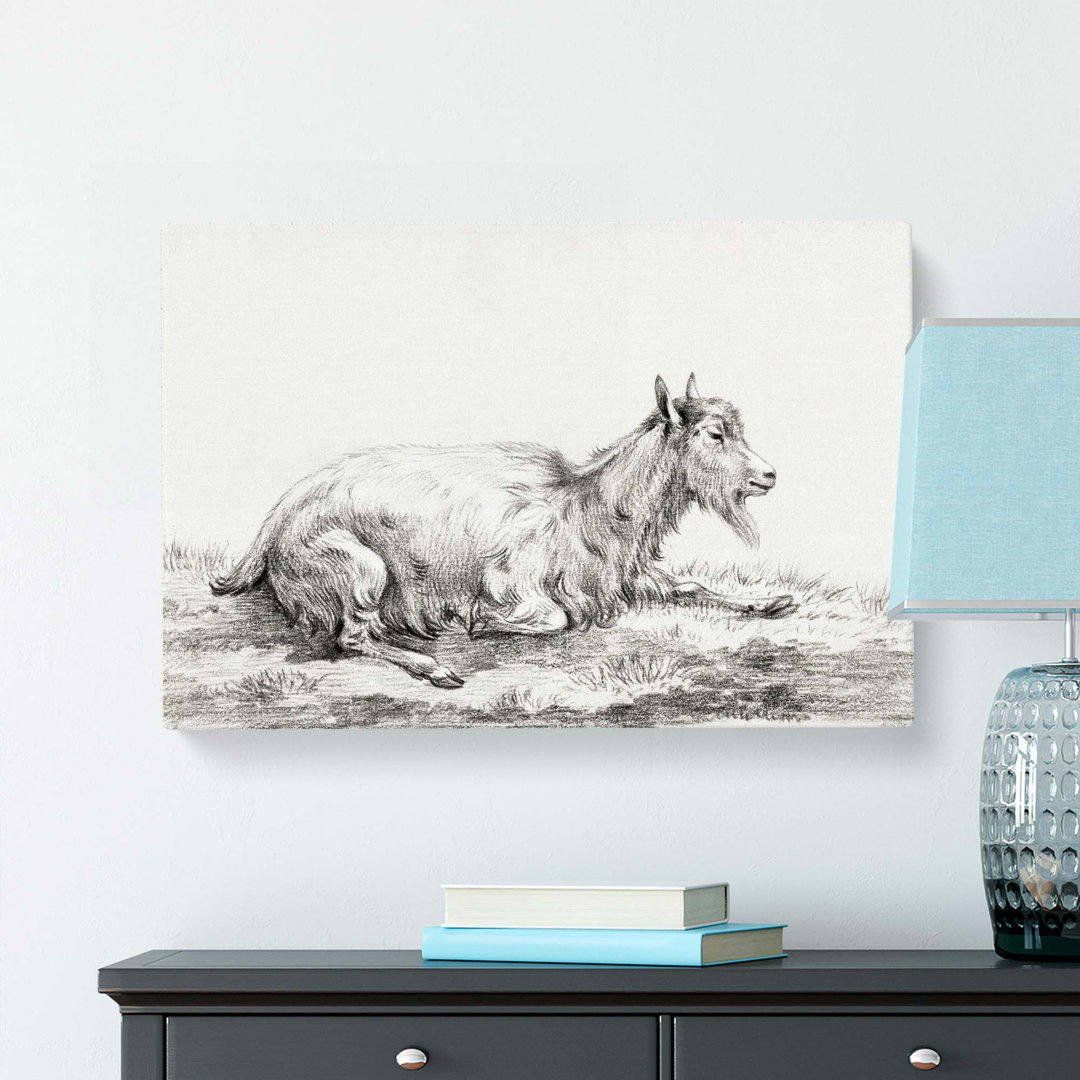 Resting Goat by Jean Bernard - Wrapped Canvas Drawing - Wrapped Canvas