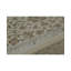 Oriental Area Rug