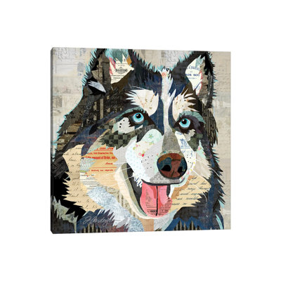 Steely Eyed Siberian Husky by Traci Anderson - Print on Canvas