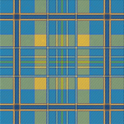 Plaid Indoor Rug