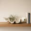 Bol décoratif Bequette-127047623