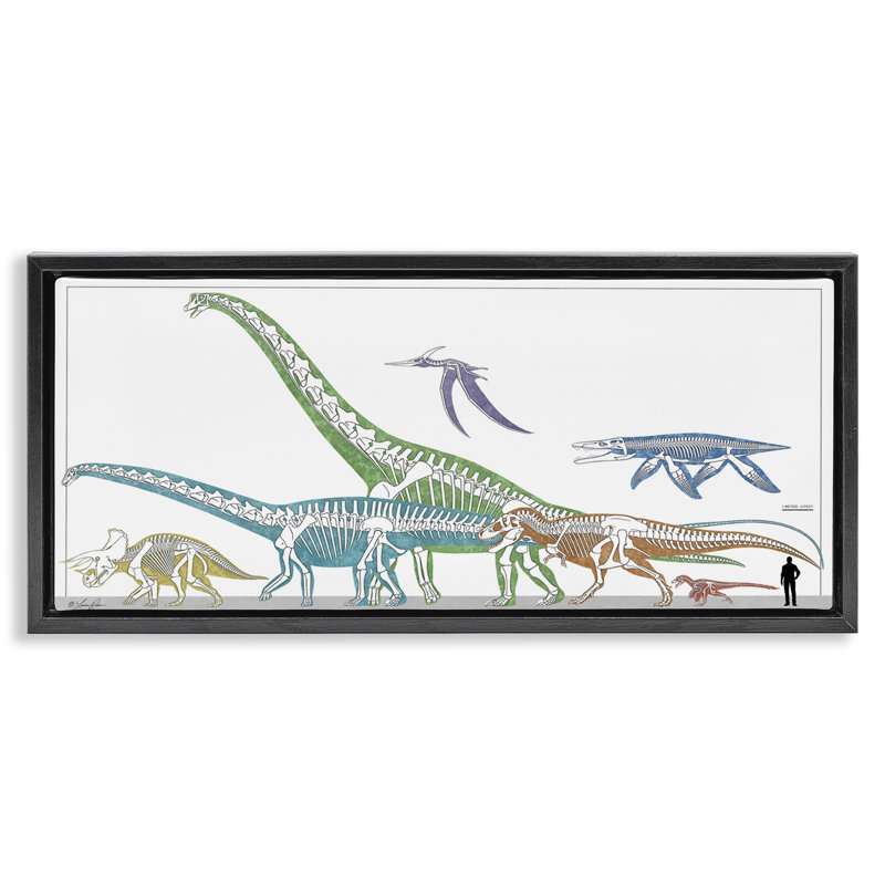  Educational Prehistoric Skeletons Framed Floater Canvas Wall Art by Lauren Rader, 11" H x 25" W, Jet Black Floater Frame