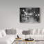 Hoya «Tombe La Neige I», reproduction de photo sur toile tendue-29764032