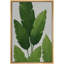 Œuvre botanique de feuille tropicale minimaliste, plante verte moderne, photos, impression sur toile encadrée-126136620-126136617