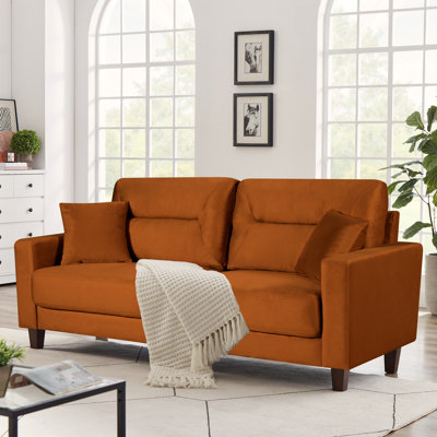 Eriq 79.53 " Velvet Sofa