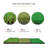 Galileo Plastic Golf-53752055-53752056