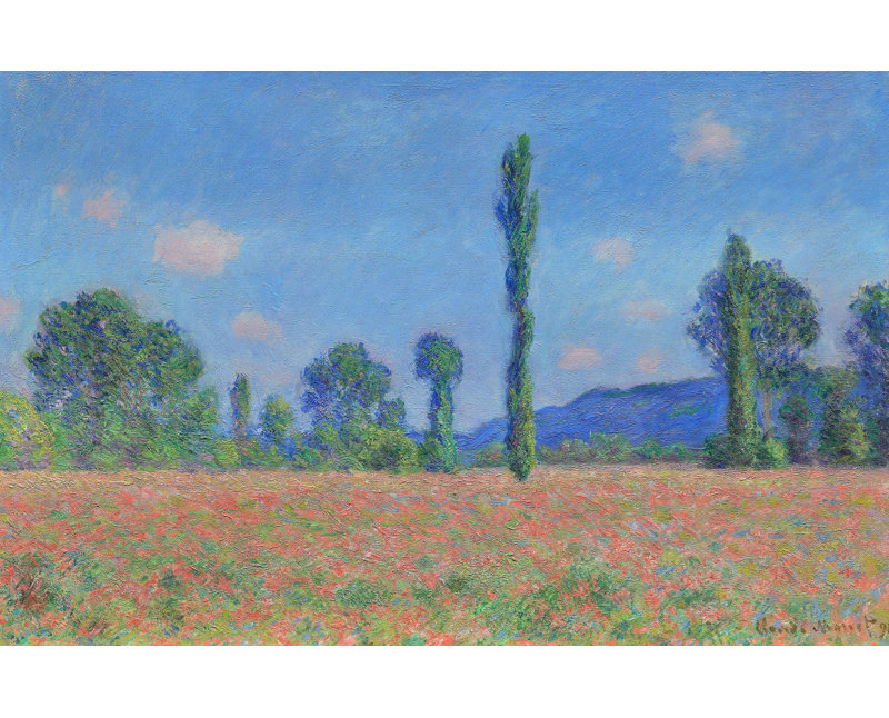 Wrapped Canvas Print, 50.8 cm H x 76.2 cm W