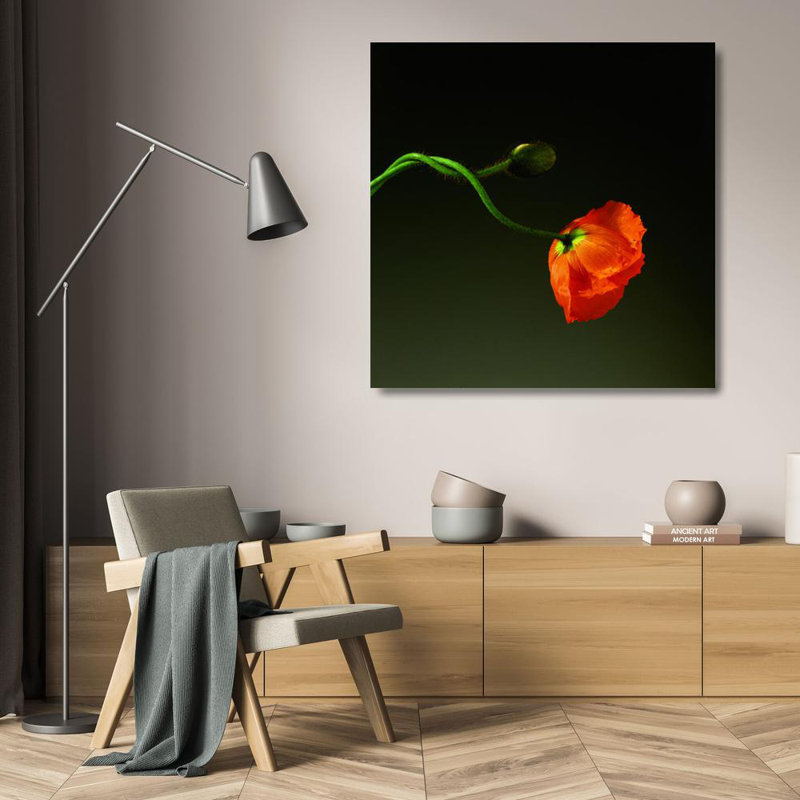 Coquelicot, 1998, H 20 po x l 20 po